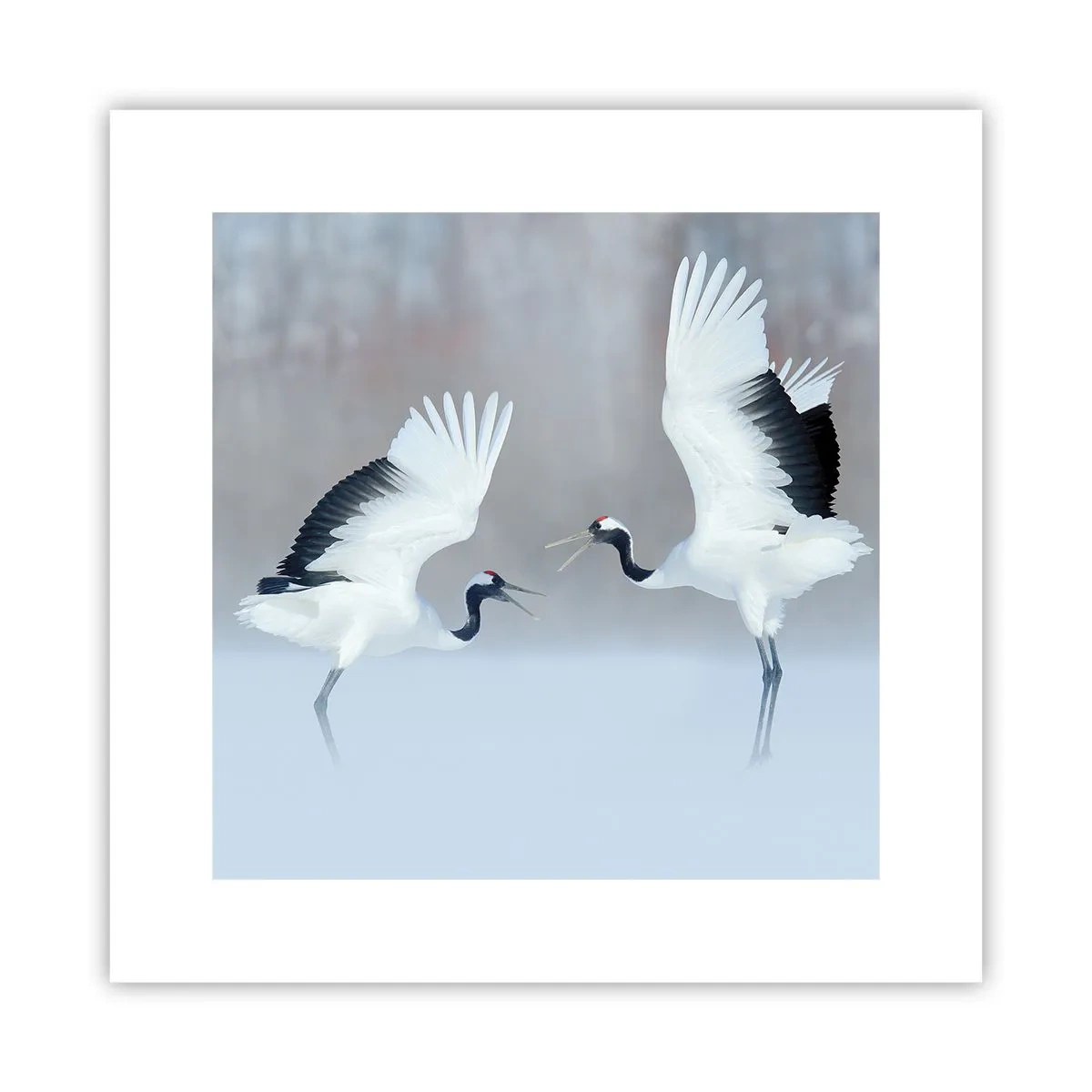 Poster - Dansând în ceață - 30x30 cm