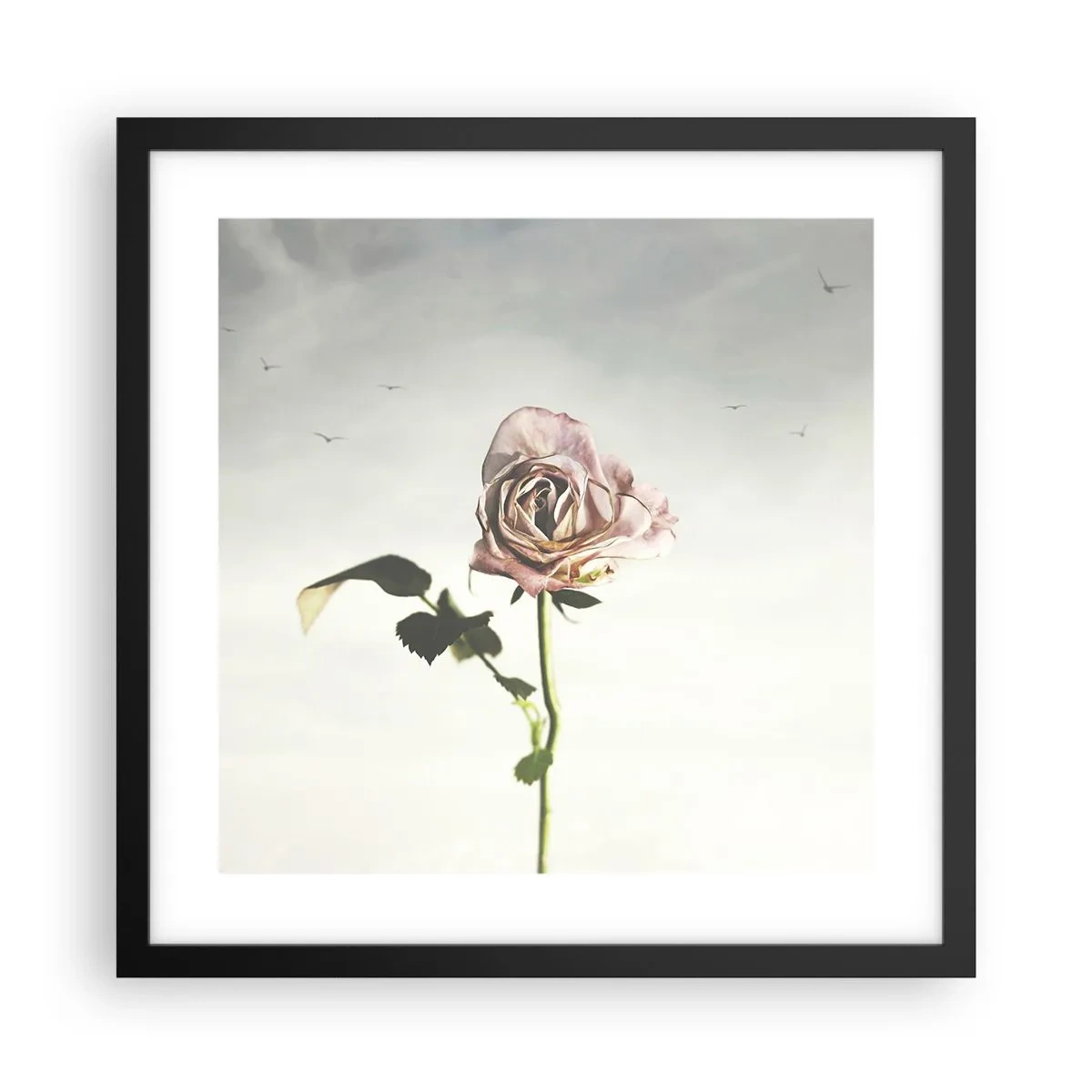 Poster în ramă neagră - Primăvara binevenită - 40x40 cm