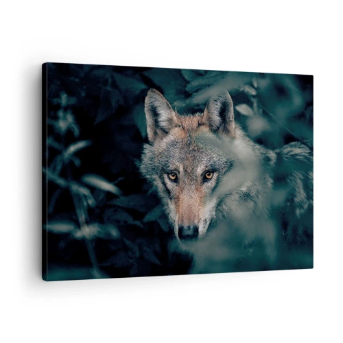 Tablou pe pânză Canvas - Un lup în mediul său natural, privind din adâncul pădurii. - 70x50cm - Vânător - Decorațiune modernă pentru perete pentru living și dormitor ARTTOR