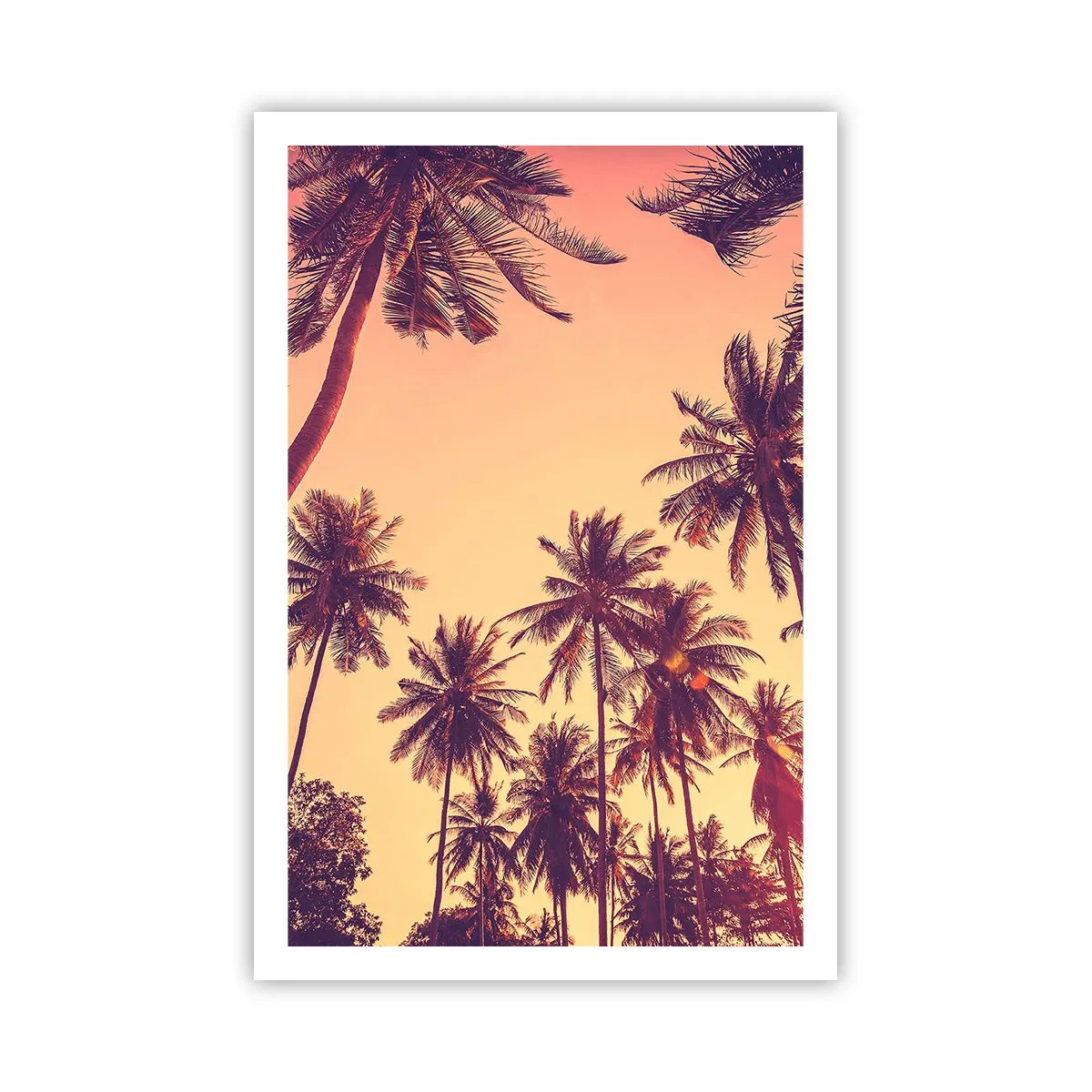 Poster - Variație tropicală - 61x91 cm