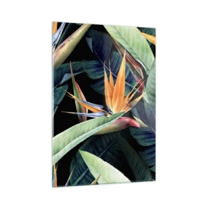 Tablou pe sticlă - Florile de flacără ale tropicelor - 50x70 cm