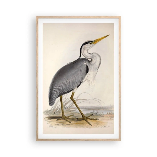 Poster în ramă de stejar deschis - Farmecul unui stârc - 61x91 cm