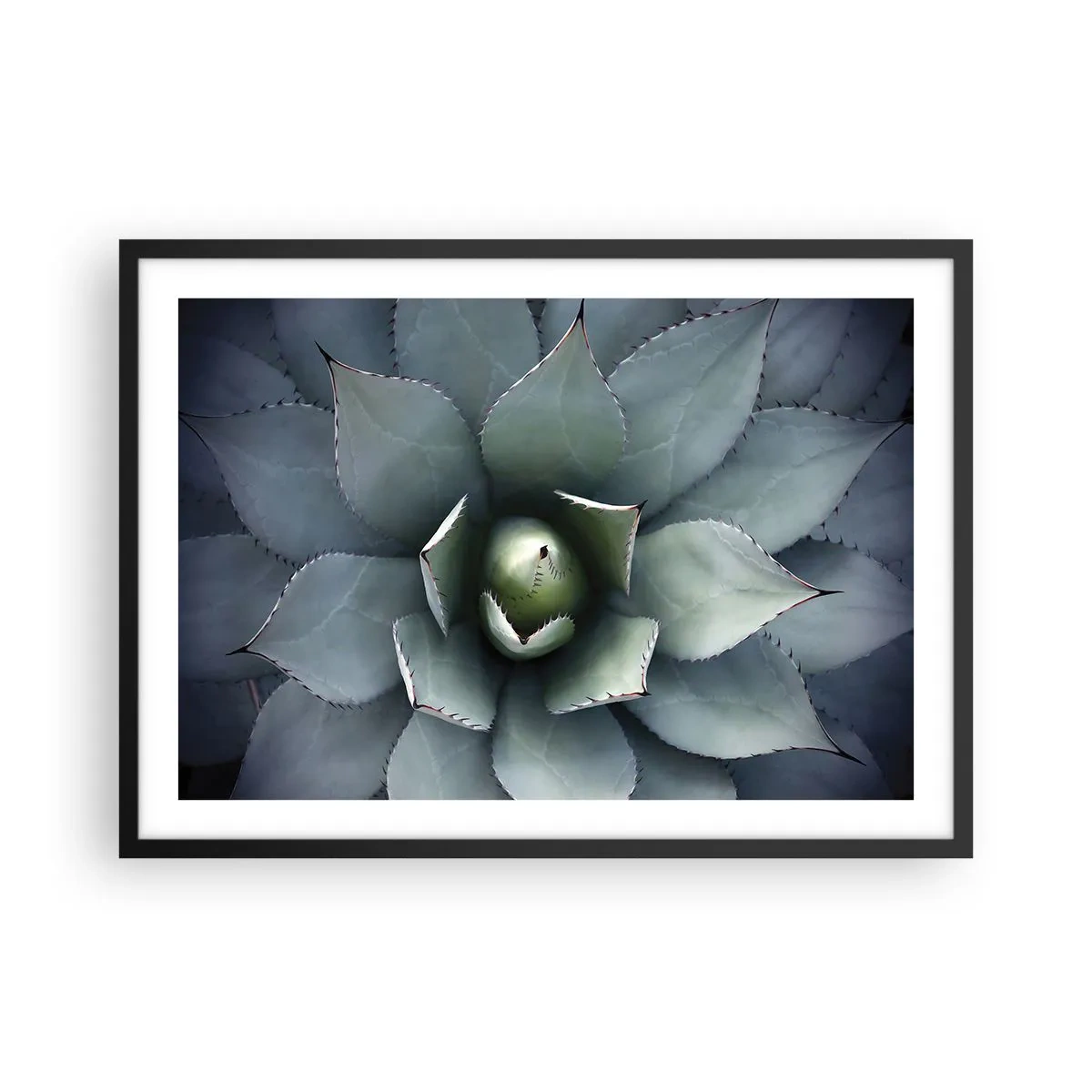 Poster în ramă neagră - Momește și avertizează - 70x50 cm