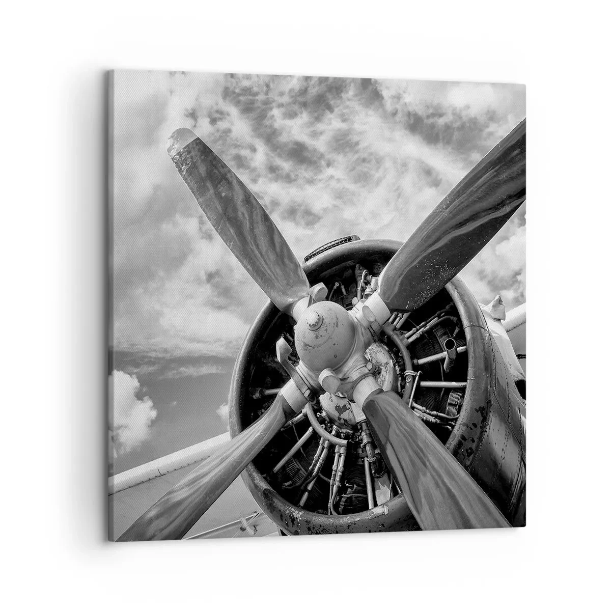 Tablou pe pânză - Cuceritorul cerului - 50x50 cm