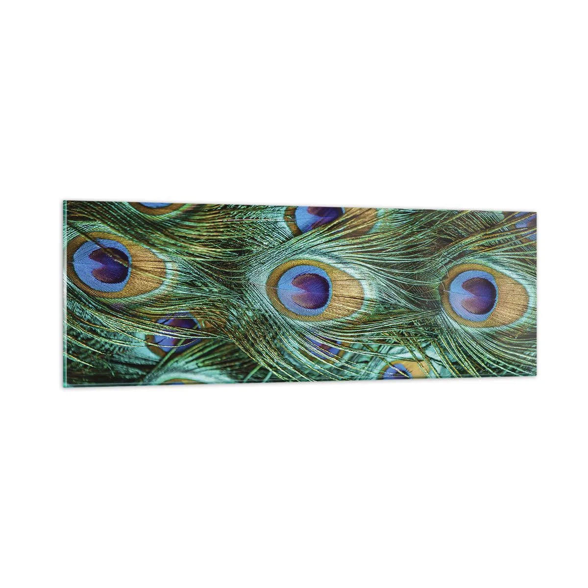 Tablou pe sticlă - O privire cu ochi de păun - 90x30 cm