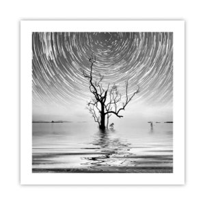 Poster - O simfonie a naturii - 50x50 cm