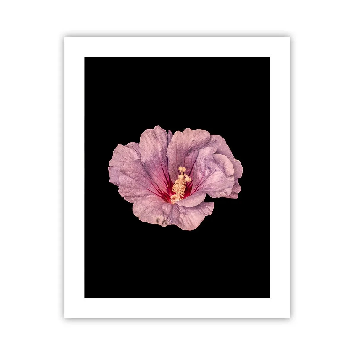 Poster - Direct la inimă - 40x50 cm