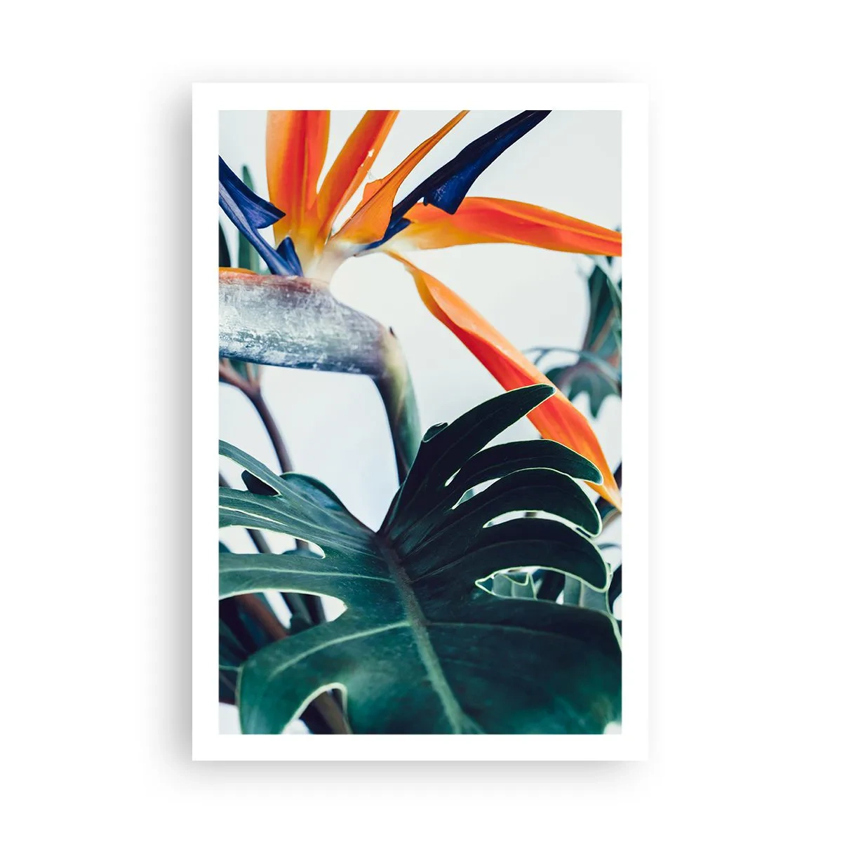 Poster - Tufiș sau pasăre? - 61x91 cm