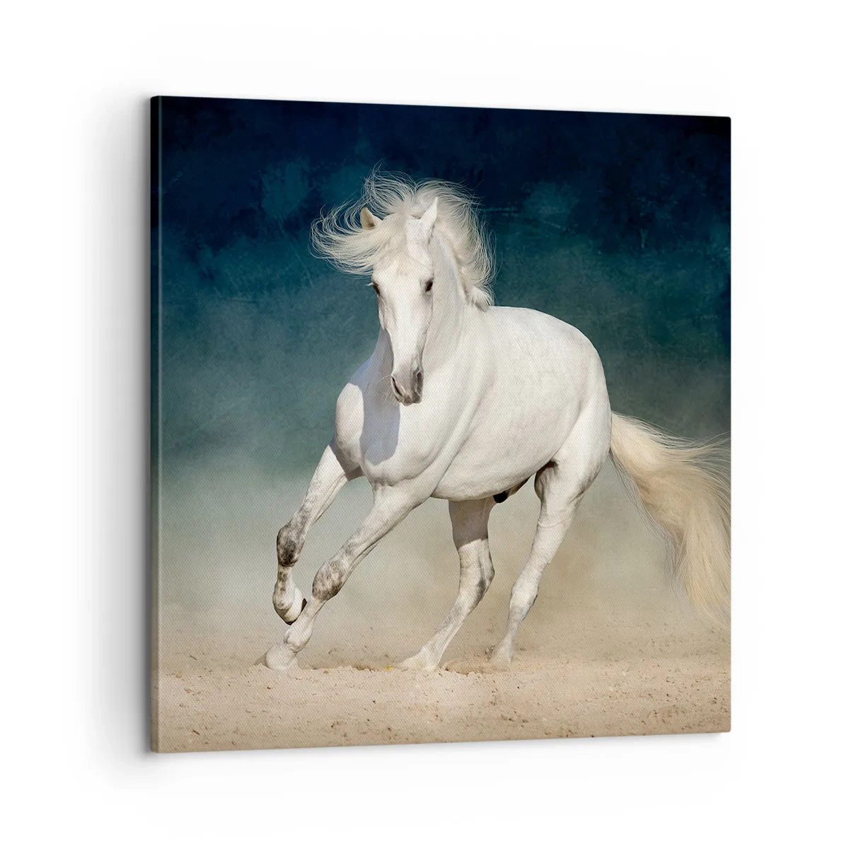 Tablou pe pânză - Libertate în stare pură - 60x60 cm