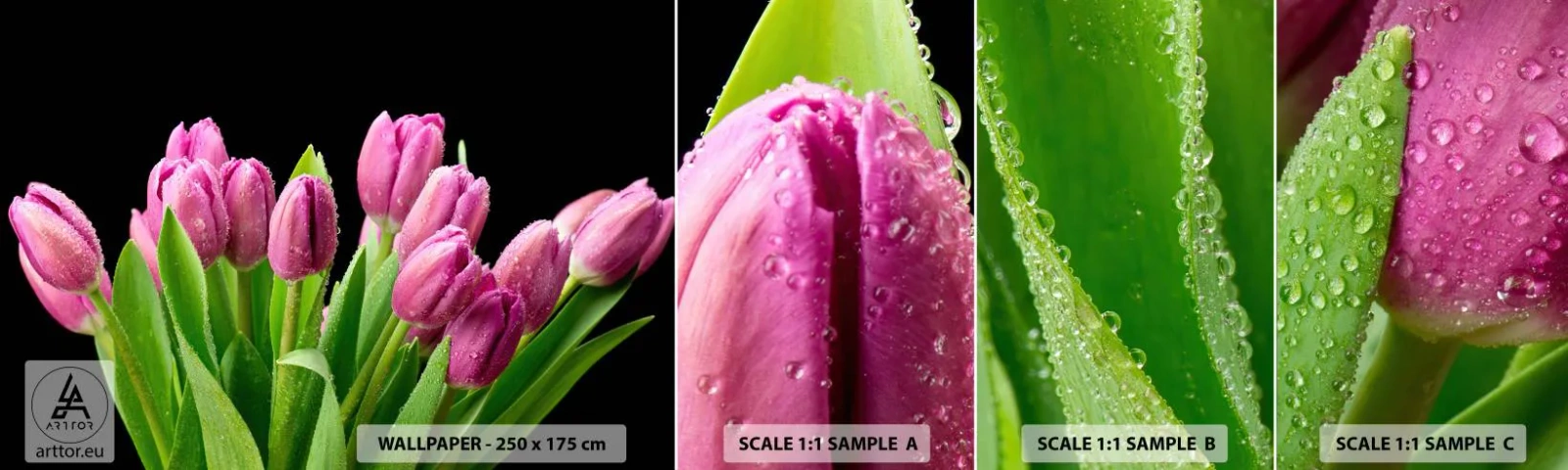 Mostră de Tapet Standard Eco - Bucurie de liliac de primăvară - Flori, Lalele, Buchet de flori - 100x30 cm