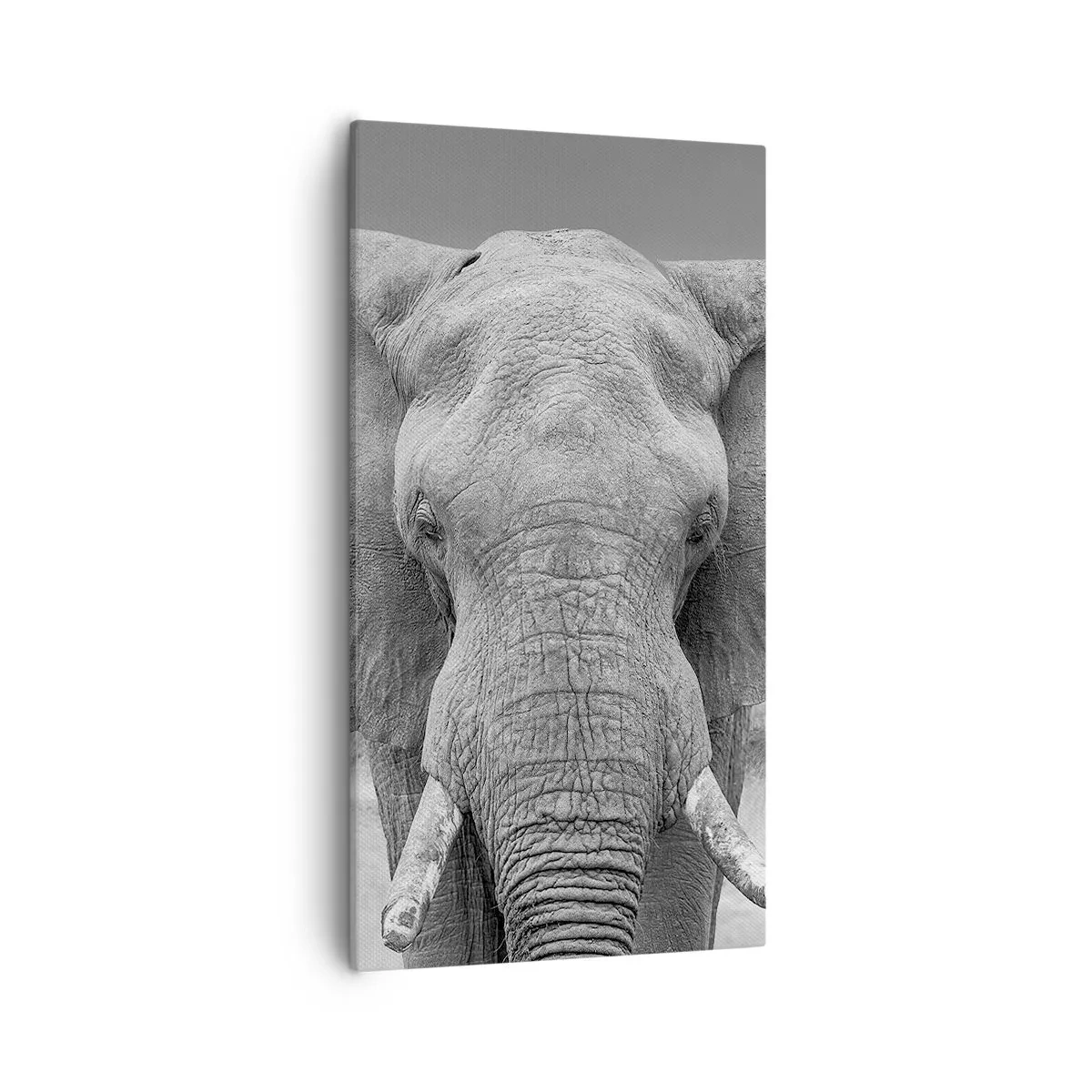 Tablou pe pânză - Bun venit în lumea mea - 55x100 cm