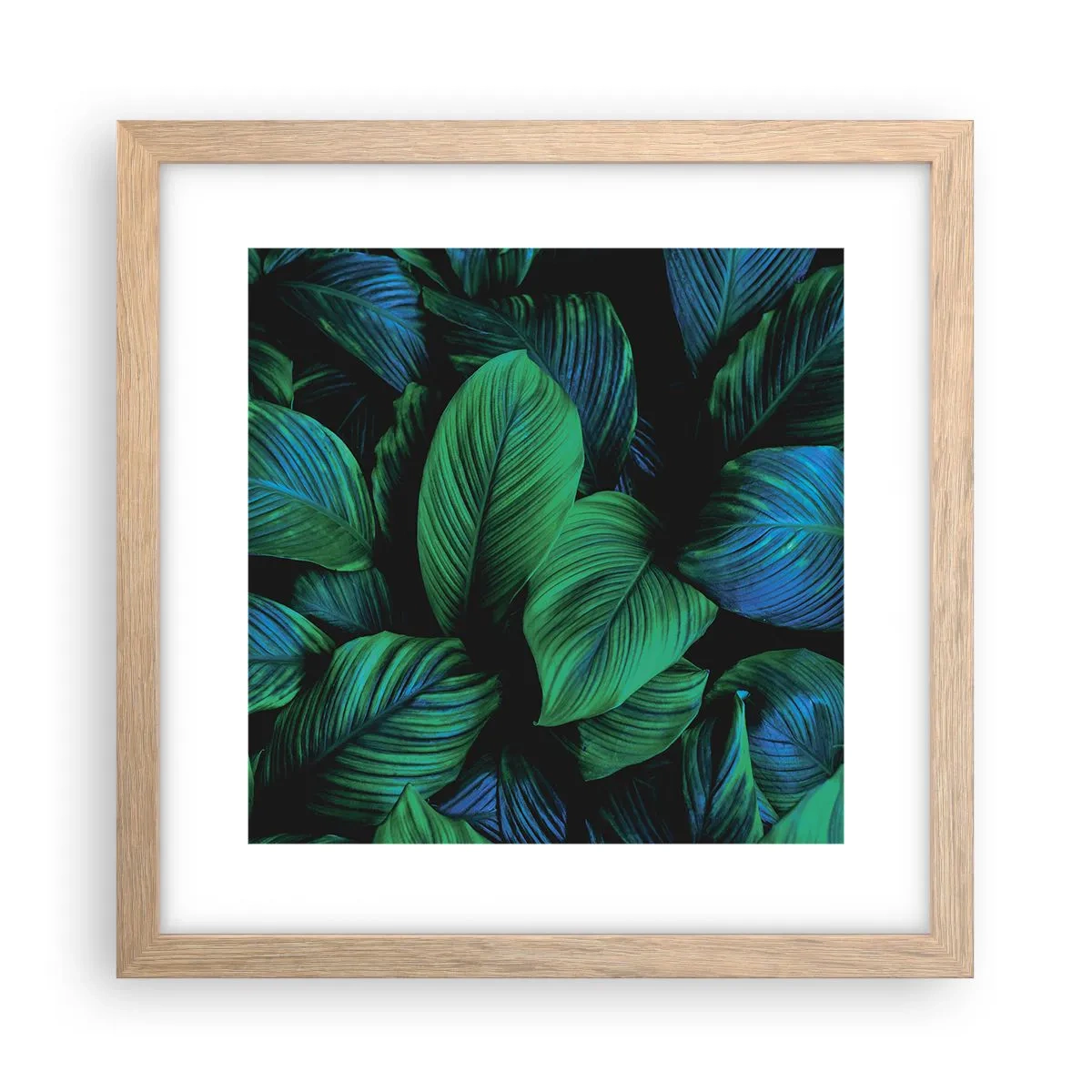 Poster în ramă de stejar deschis - Traficul verde - 30x30 cm