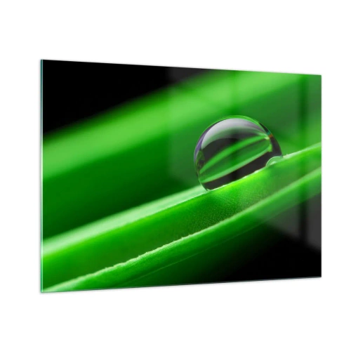 Tablou pe sticlă - Viața de aproape - 100x70 cm