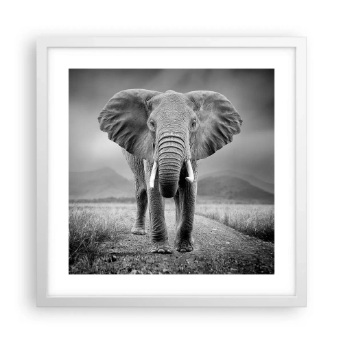 Poster în ramă albă - Gazda te salută - 40x40 cm