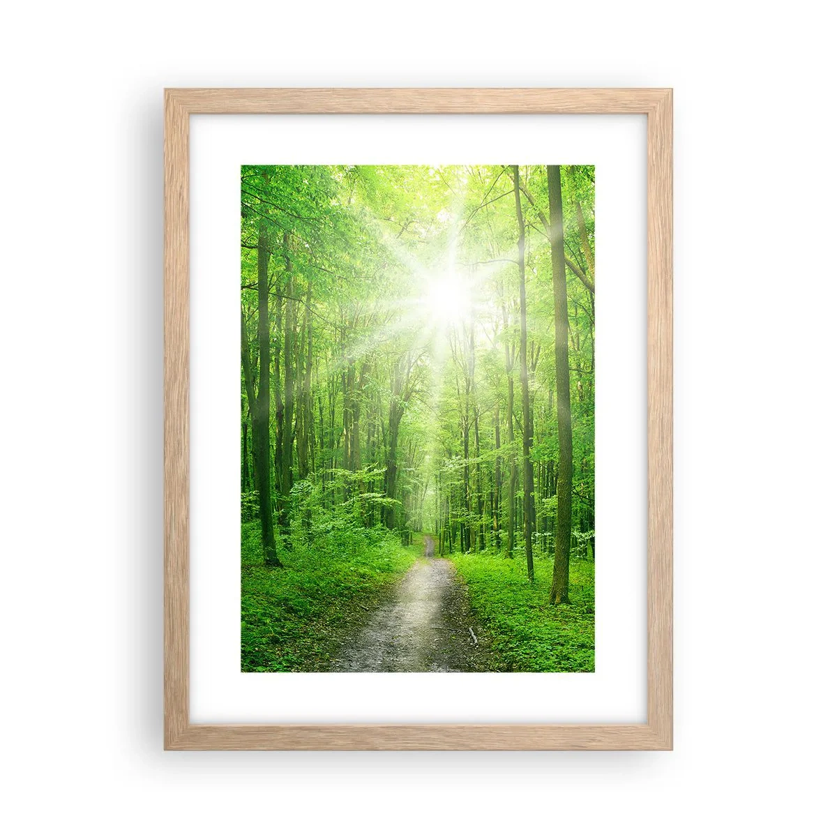 Poster în ramă de stejar deschis - Catedrala verde - 30x40 cm