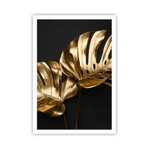 Poster - Comorile naturii - 70x100 cm