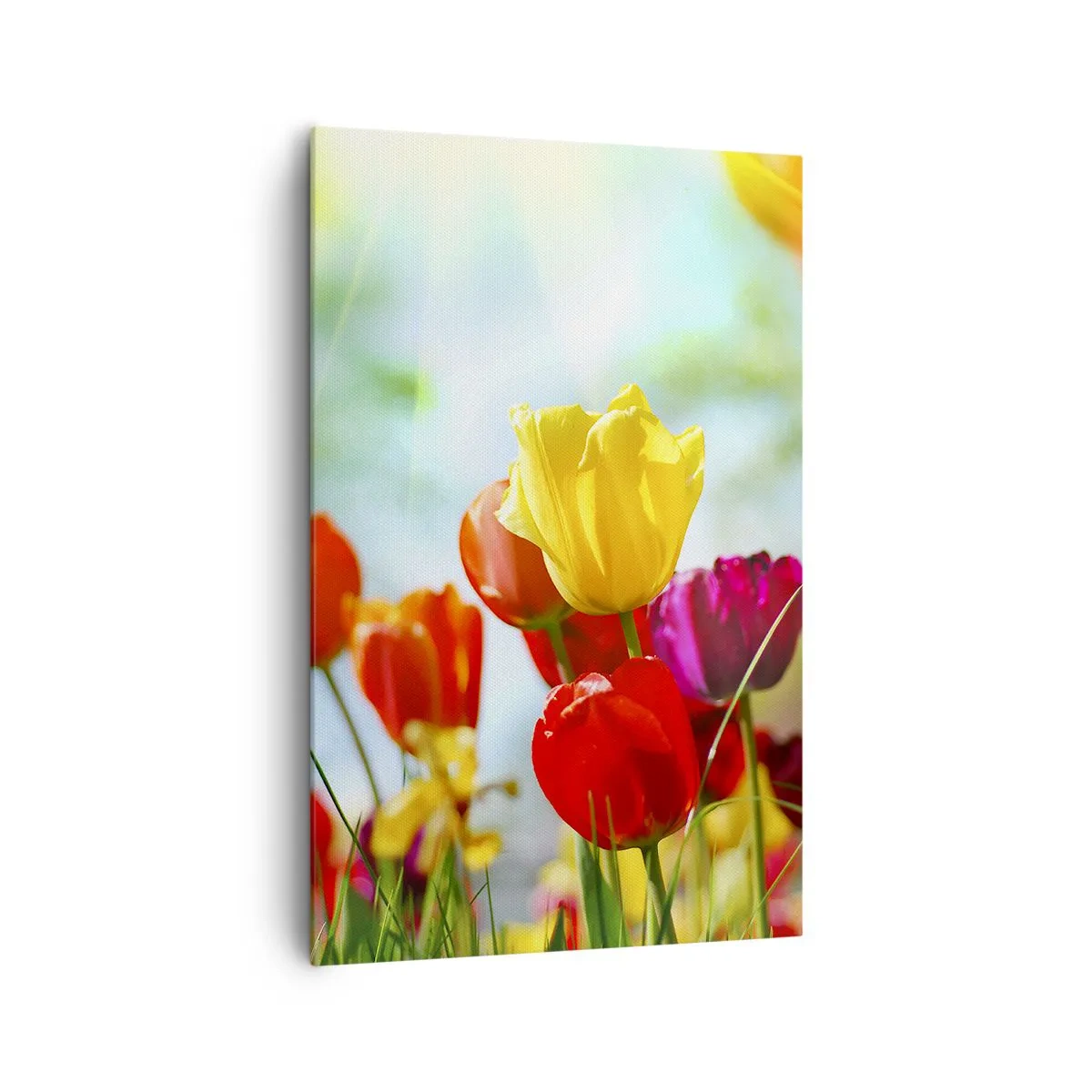 Tablou pe pânză - Toate culorile soarelui - 80x120 cm