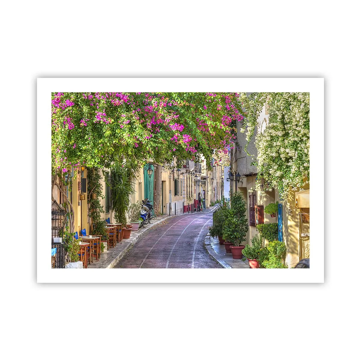 Poster - Alee înfloritoare - 70x50 cm