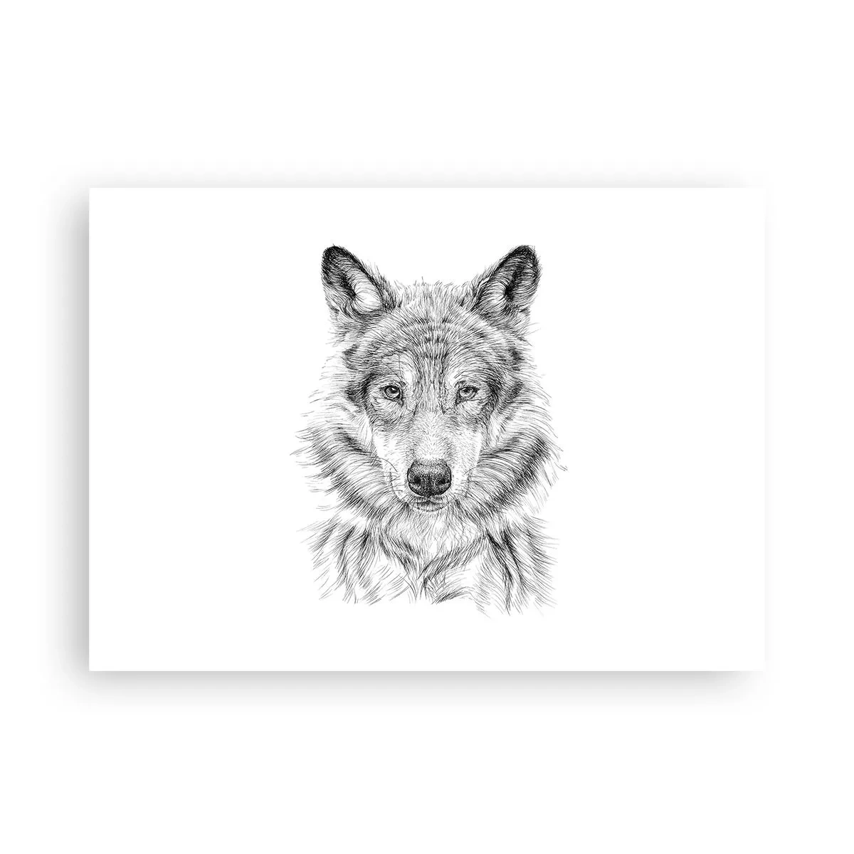 Poster - Un lider înnăscut - 70x50 cm