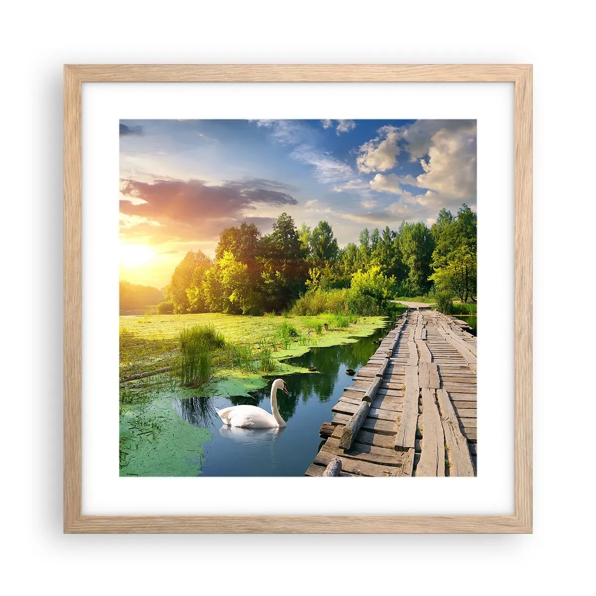 Poster în ramă de stejar deschis - Vară, vară peste tot - 40x40 cm