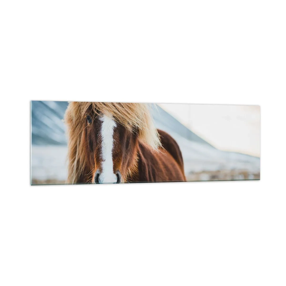 Tablou pe sticlă - Simțiți libertatea? - 160x50 cm