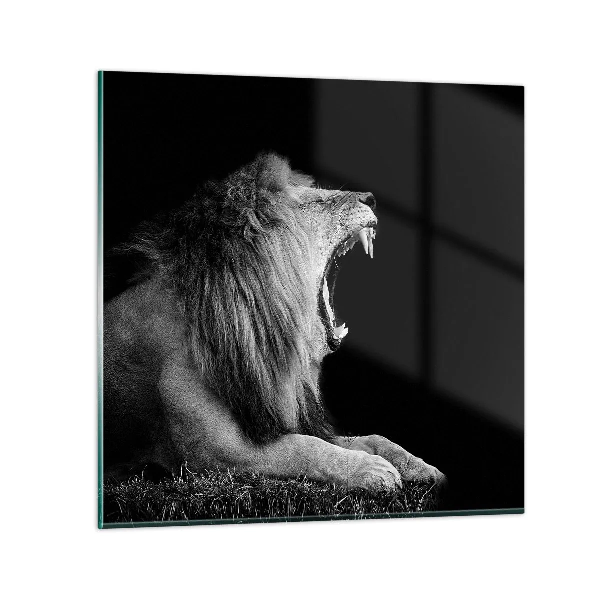 Tablou pe sticlă - Fără nici o ezitare - 50x50 cm