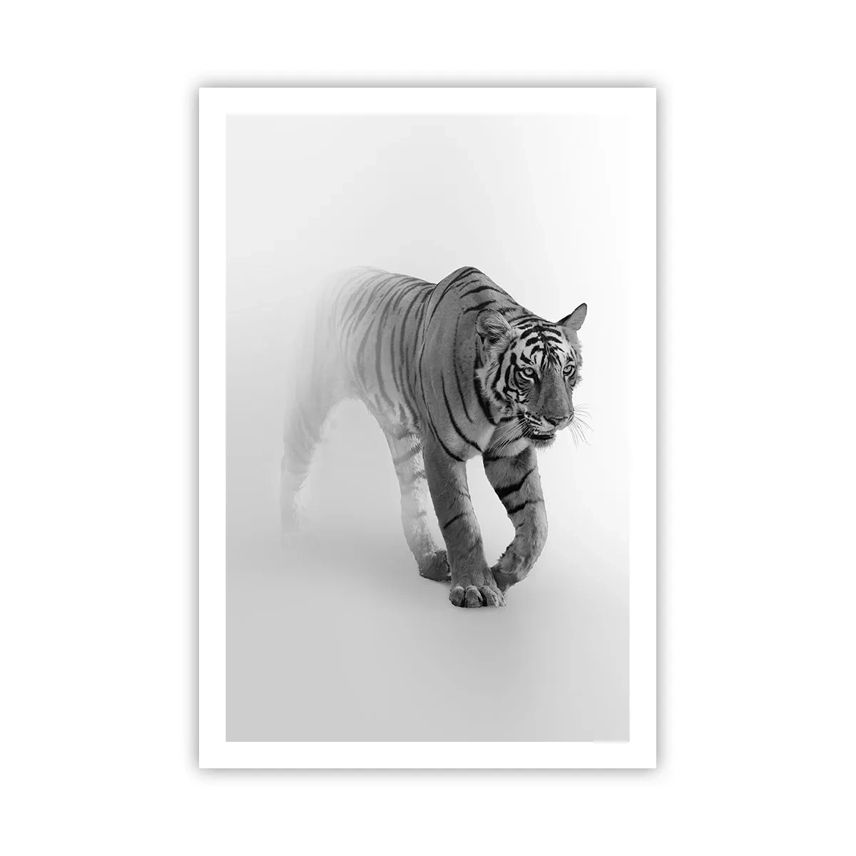 Poster - De veghe în ceață - 61x91 cm