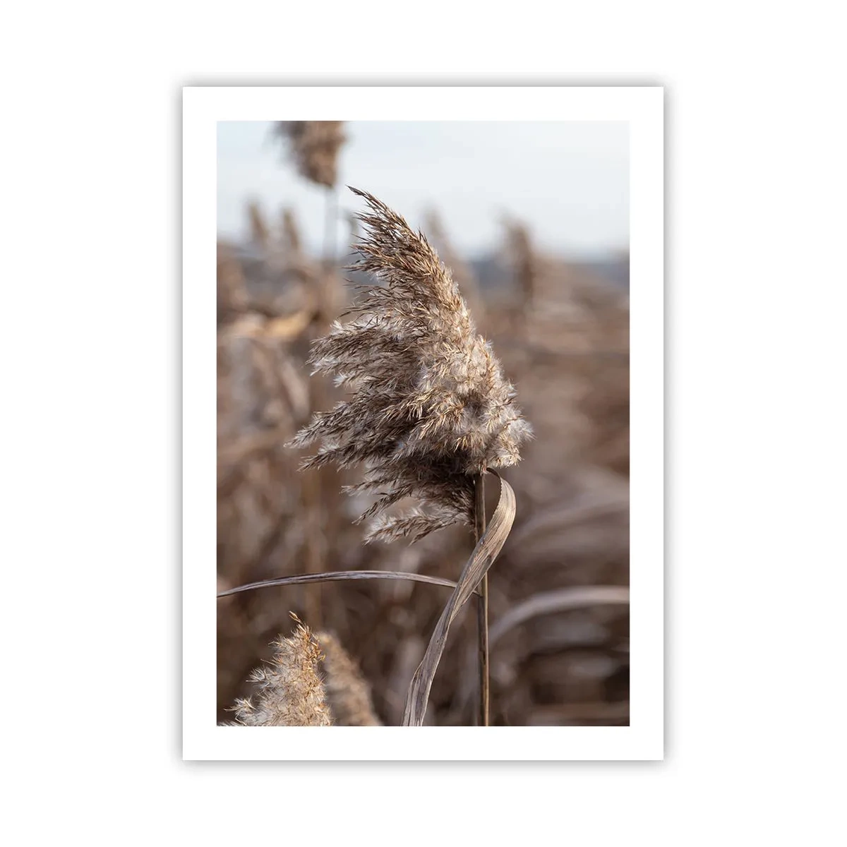 Poster - E timpul să zbori cu vântul - 50x70 cm