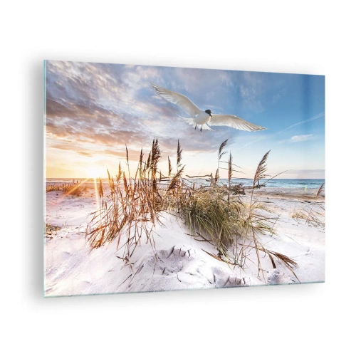 Tablou pe sticlă - O pasăre zburând peste dune la apus - 70x50cm - Vânt dinspre mare - Decorațiune modernă pentru perete pentru living și dormitor ARTTOR