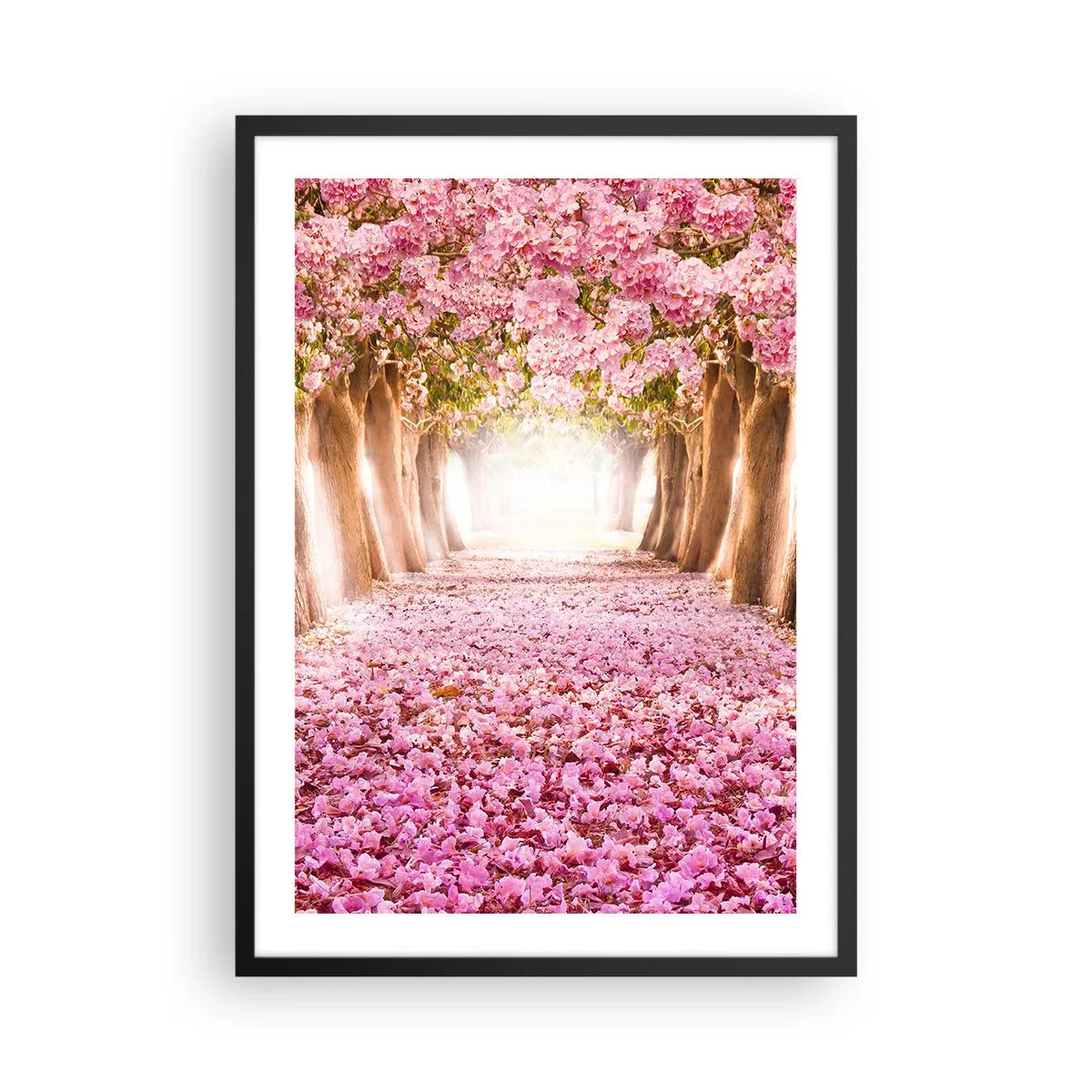 Poster în ramă neagră - O alee de cireși cu un covor floral roz - 50x70cm - Drumul spre paradis - Decorațiune modernă pentru perete pentru living și dormitor ARTTOR