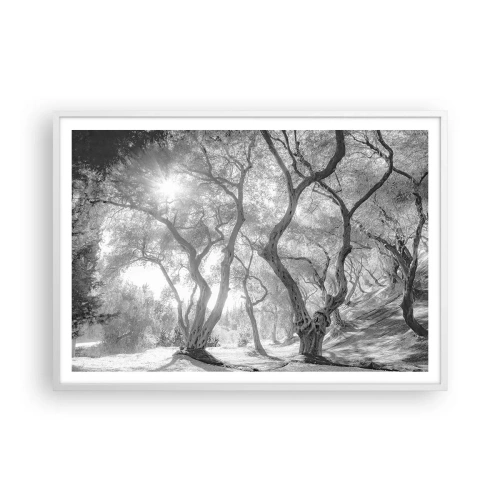 Poster în ramă albă - Într-o livadă de măslini - 100x70 cm
