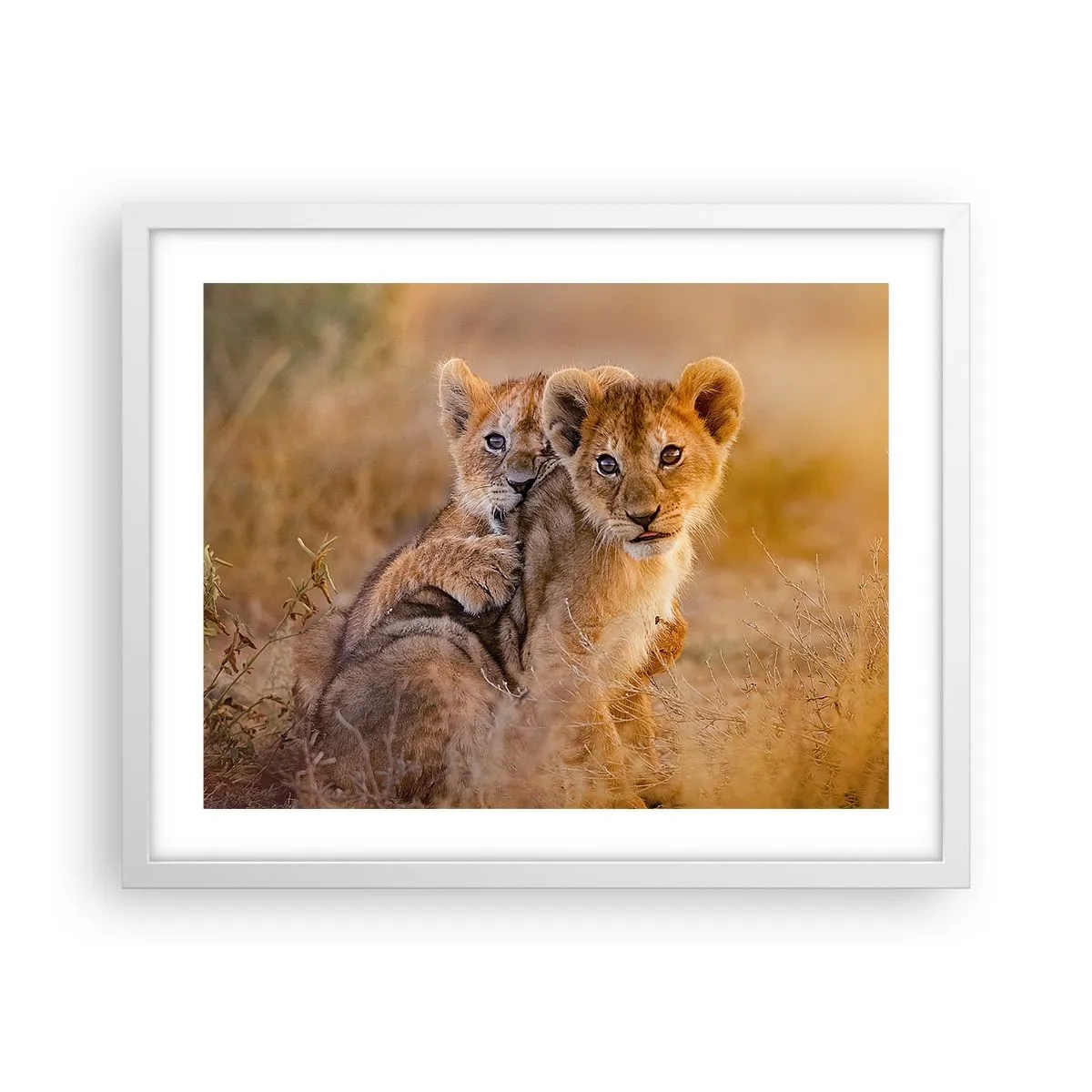 Poster în ramă albă - Nu deranjați! Ne distrăm - 50x40 cm