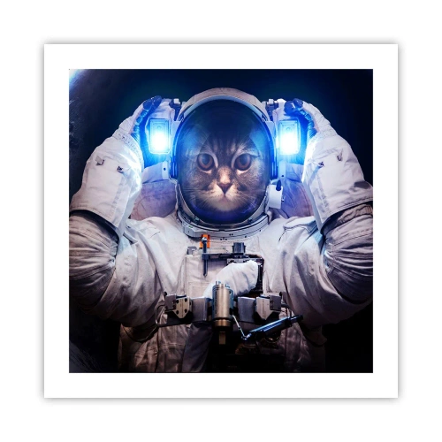 Poster - Houston, aveți o problemă - 50x50 cm