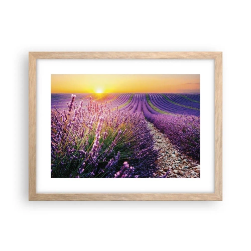 Poster în ramă de stejar deschis - Câmpul parfumat - 40x30 cm