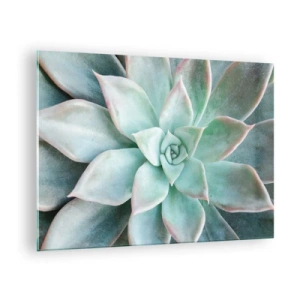 Tablou pe sticlă - Frunze suculente uscate cu o nuanță delicată, gri-verzuie - 70x50cm - Inima deșertului - Decorațiune modernă pentru perete pentru living și dormitor ARTTOR