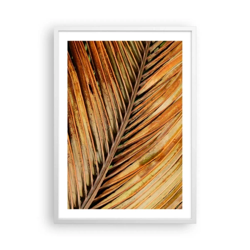 Poster în ramă albă - Aur de nucă de cocos - 50x70 cm