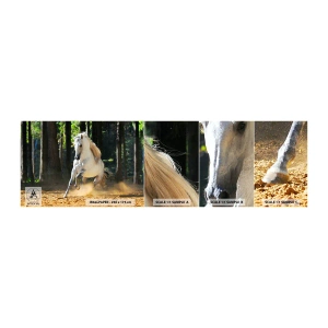 Mostră de Tapet Standard Eco - Ca într-un roman fantastic - Animale, Cal, Peisaj - 100x30 cm