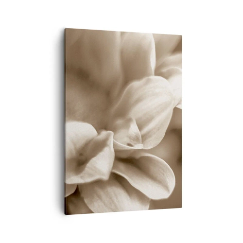 Tablou pe pânză - Blânde ca un zâmbet - 50x70 cm