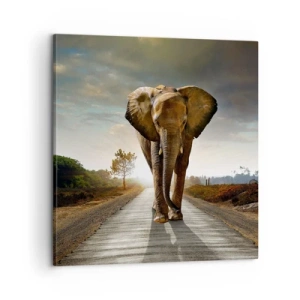 Tablou pe pânză - Și-a pierdut cipicii... - 60x60 cm