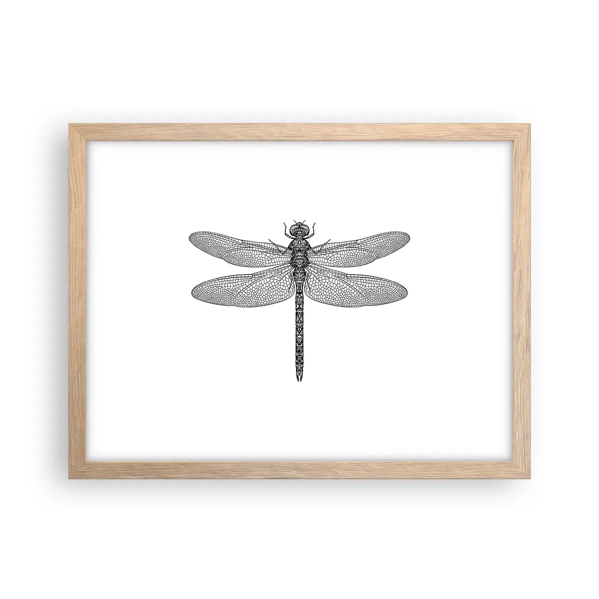 Poster în ramă de stejar deschis - Precizia naturii - 40x30 cm