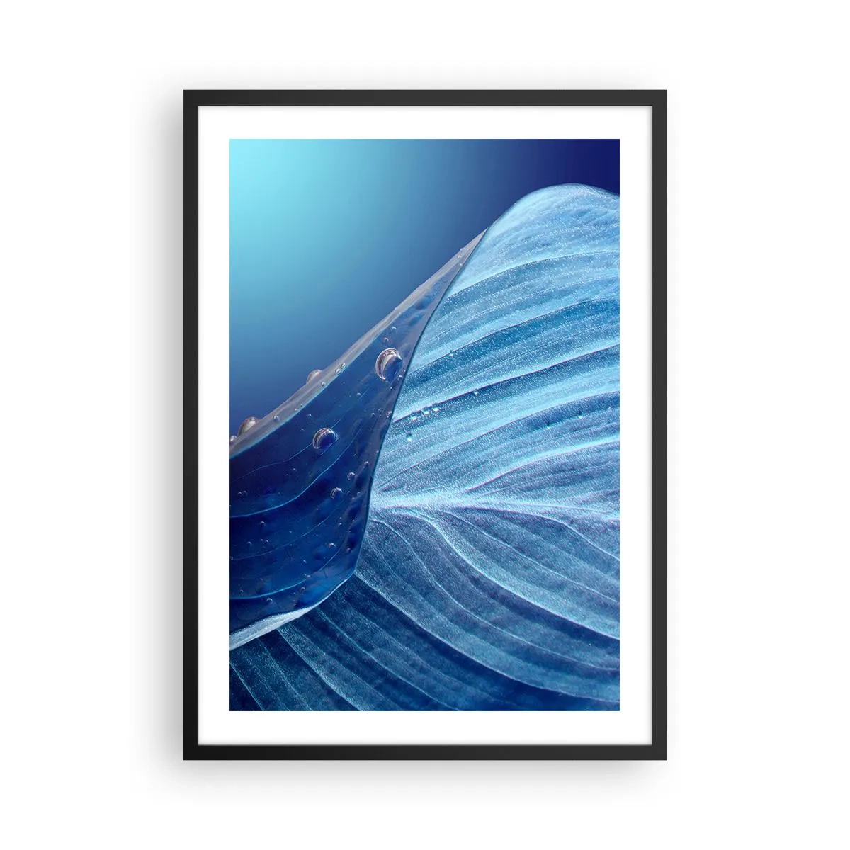 Poster în ramă neagră - O frunză cu picături de apă în nuanțe de albastru - 50x70cm - Picături ascunse de albastru - Decorațiune modernă pentru perete pentru living și dormitor ARTTOR