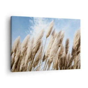 Tablou pe pânză Canvas - Ierburi delicate de pampas pe un cer albastru cu nori ușori - 70x50cm - Mângâiere însorită și vântoasă - Decorațiune modernă pentru perete pentru living și dormitor ARTTOR