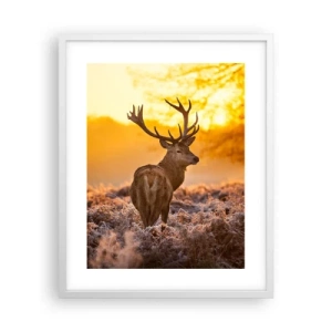 Poster în ramă albă - Regele pădurii de toamnă - 40x50 cm
