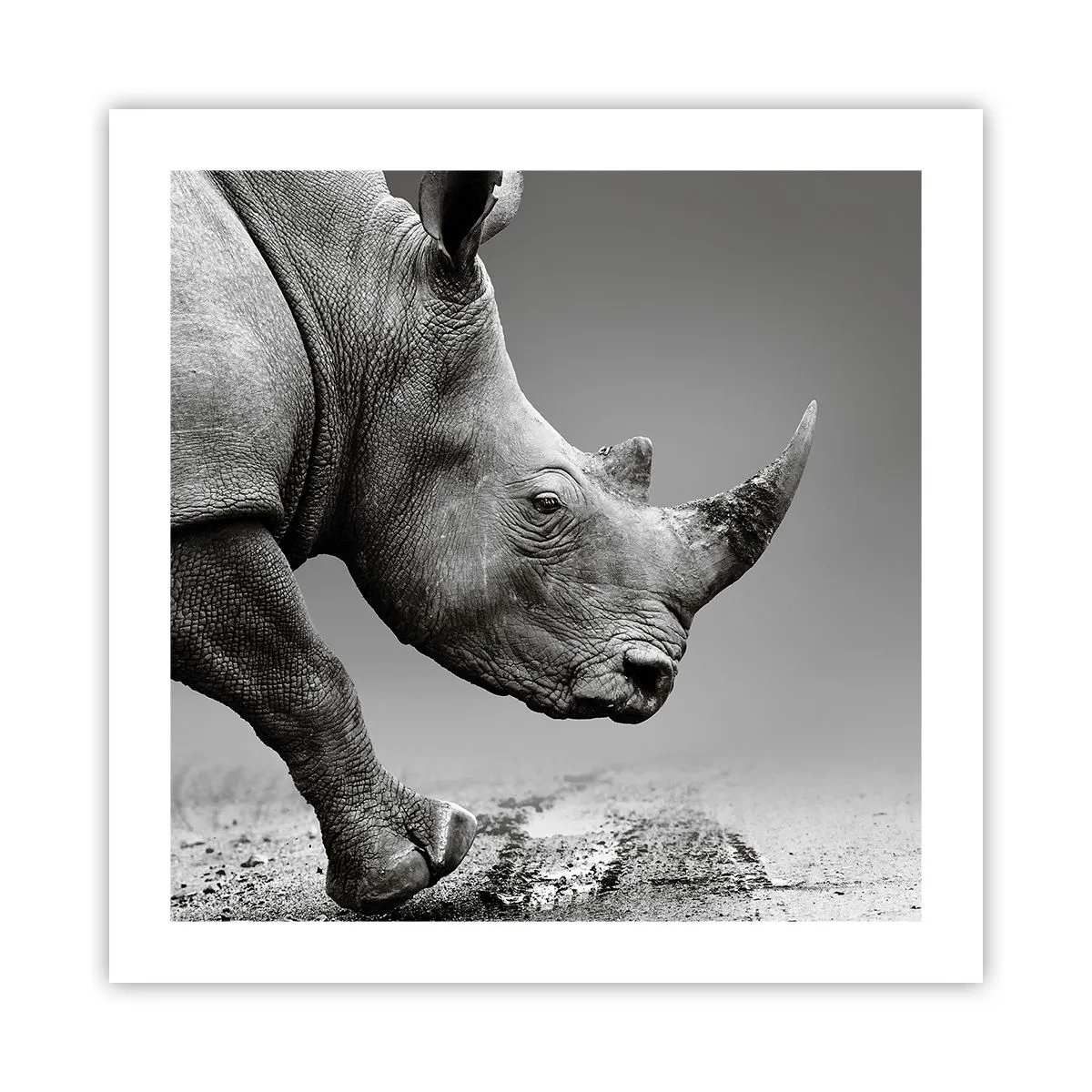 Poster - O forță de neoprit - 50x50 cm