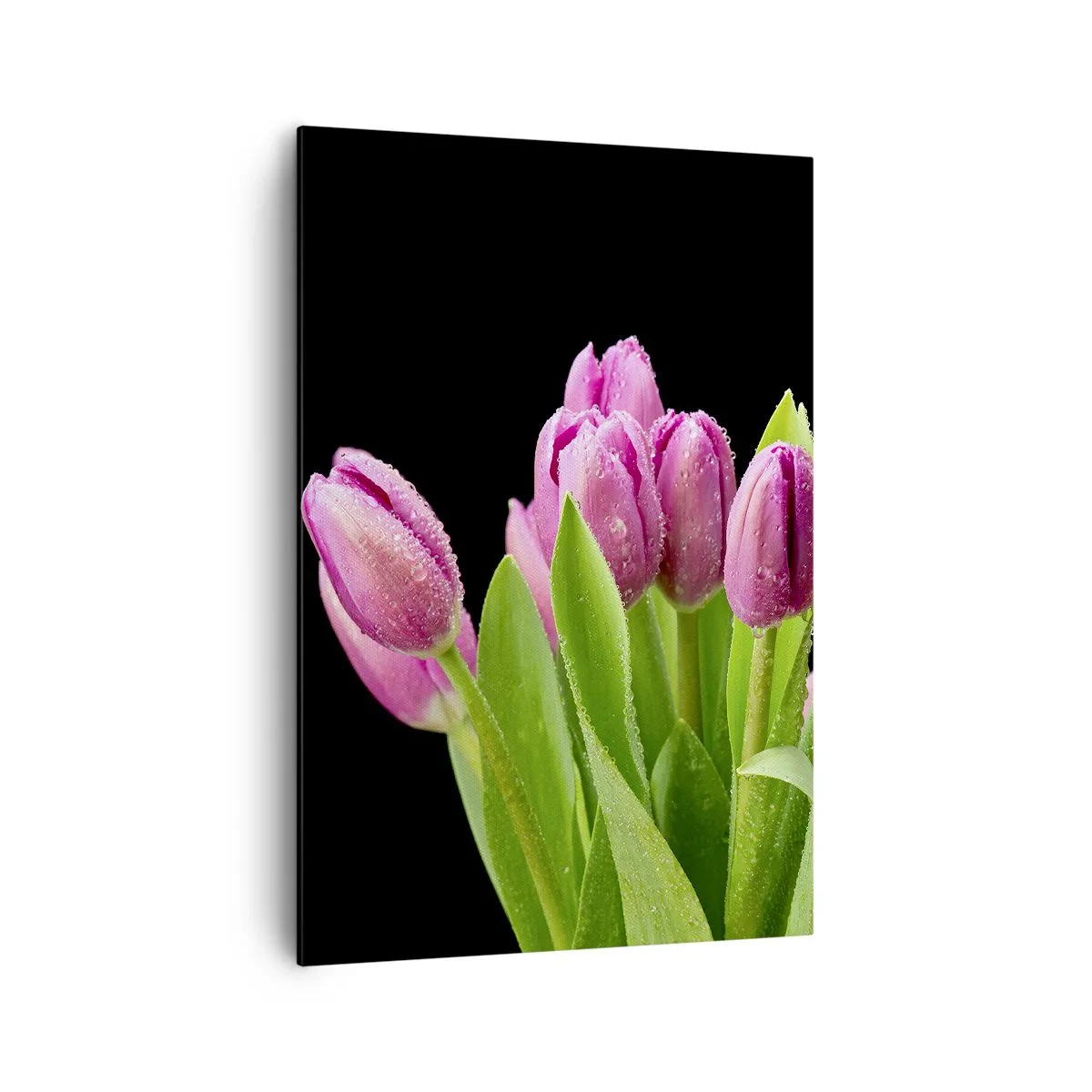 Tablou pe pânză - Bucurie de liliac de primăvară - 70x100 cm