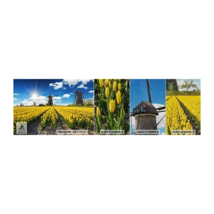 Mostră tapet Premium Sand - Olandez pe cât se poate - Peisaj, Ventilator, Lalele - 100x30 cm