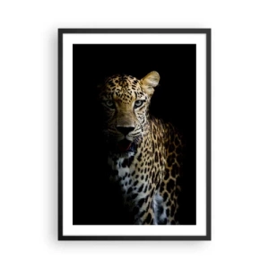 Poster în ramă neagră - Un leopard pe un fundal întunecat cu detalii vii de blană. - 50x70cm - Frumusețe întunecată - Decorațiune modernă pentru perete pentru living și dormitor ARTTOR