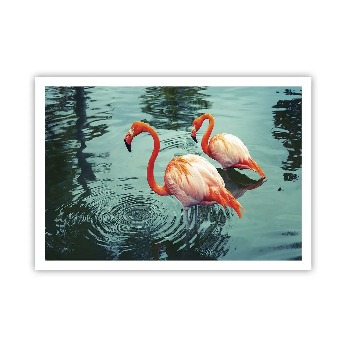 Poster - Suntem bune de revistele de modă - 100x70 cm