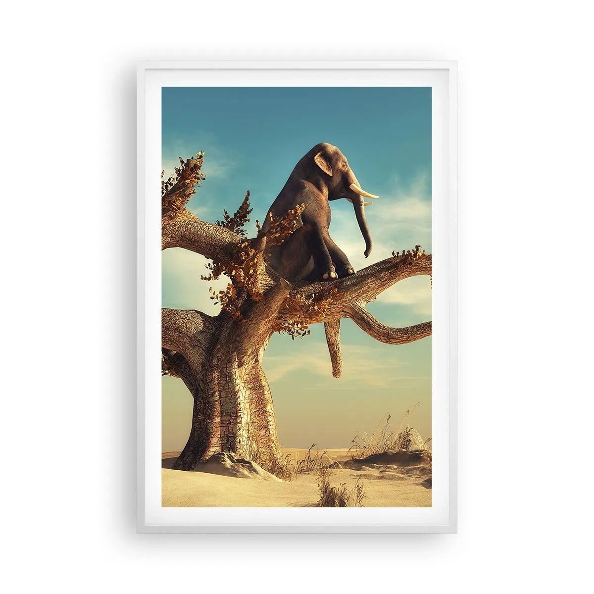 Poster în ramă albă - Un nou punct de vedere - 61x91 cm