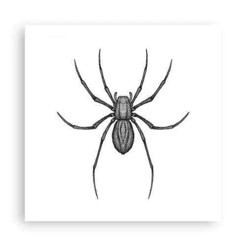 Poster - Precizie tulburătoare - 50x50 cm